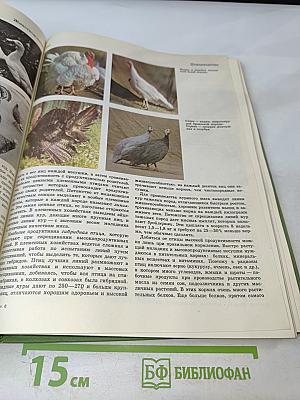 Детская Энциклопедия. Том 6. Сельское хозяйство