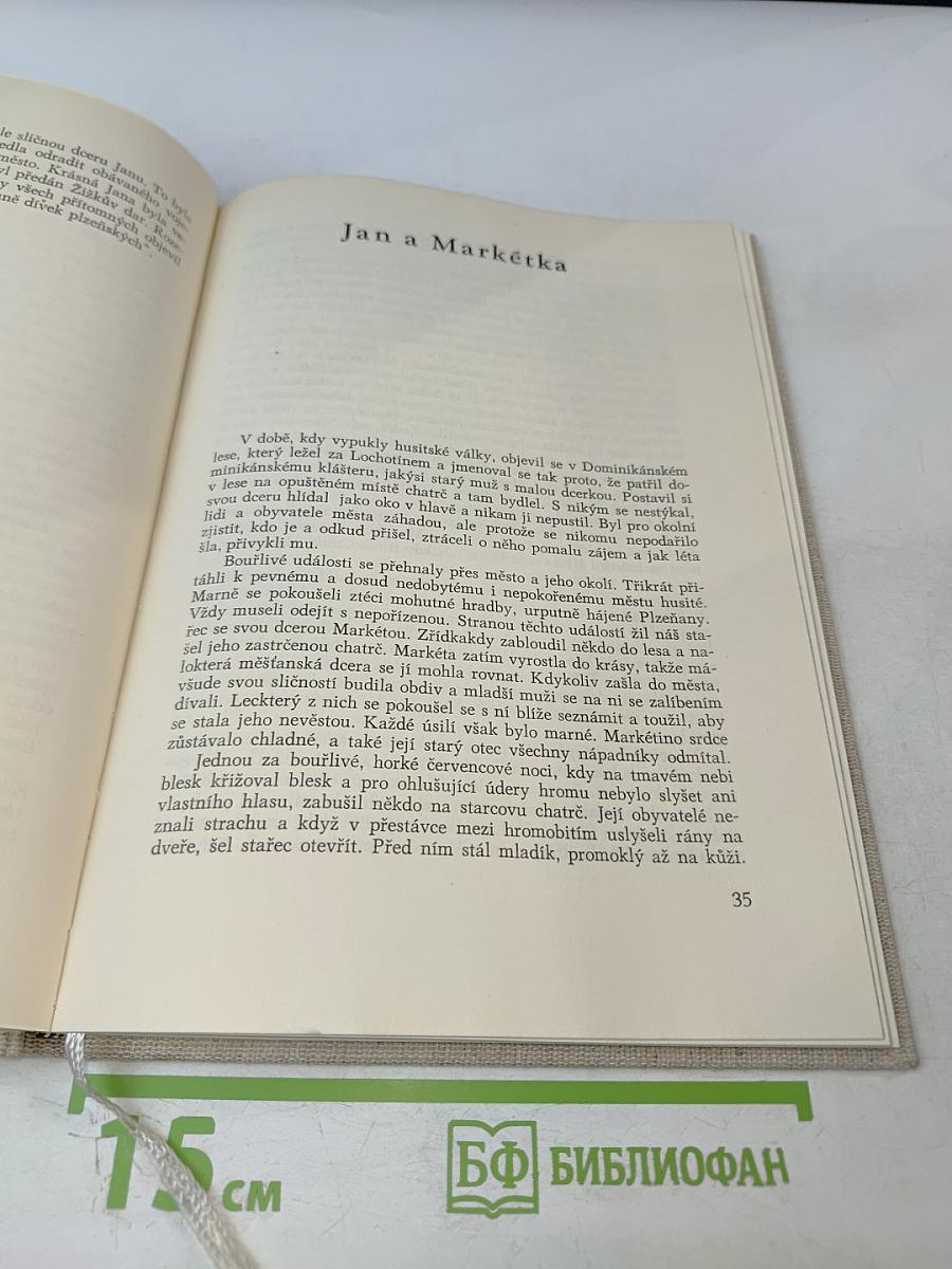 Plzeňské pověsti a legendy