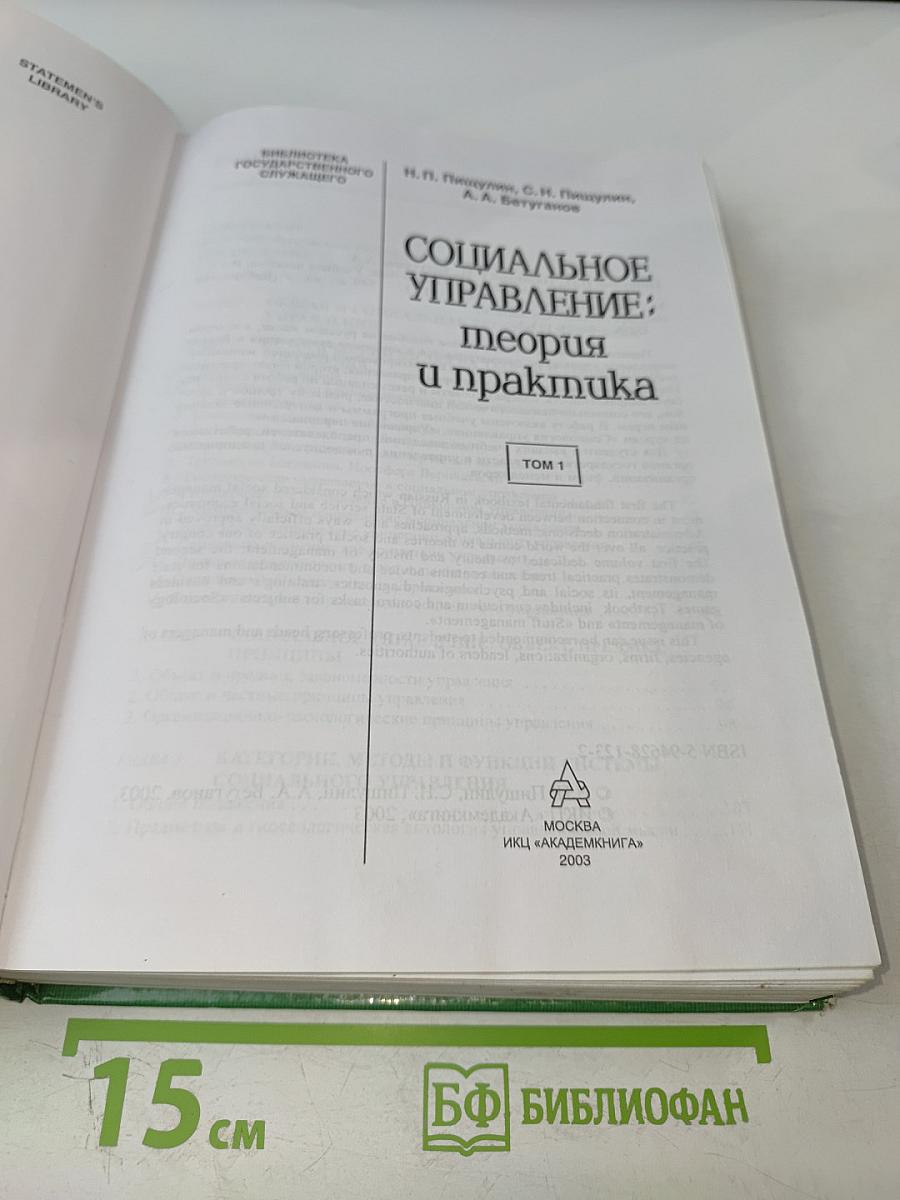 Социальное управление: теория и практика. Том 1