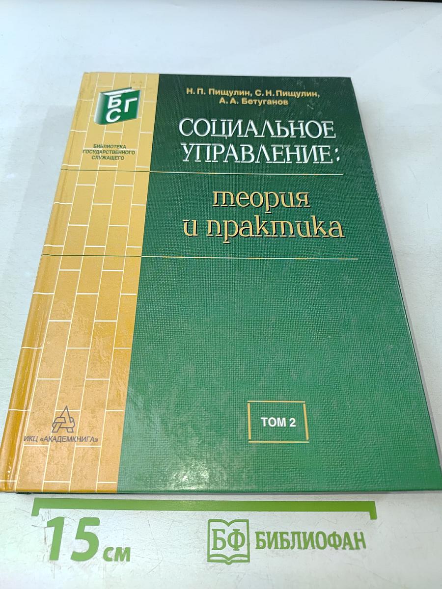 Социальное управление: теория и практика, Том 2