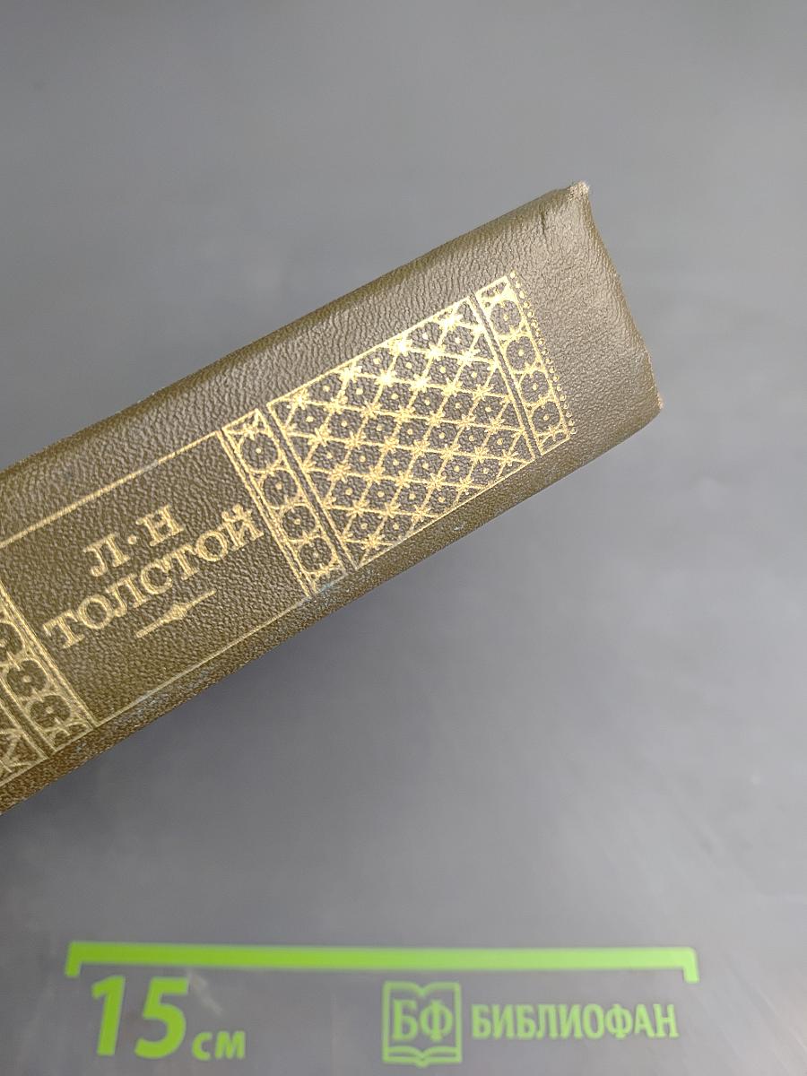 Дневники 1895~1910 (Том 22 Полного собрания сочинений Л.Н. Толстого)