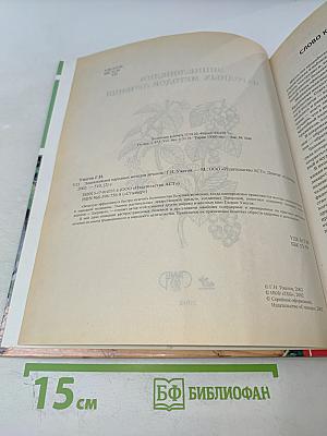 Энциклопедия народных методов лечения
