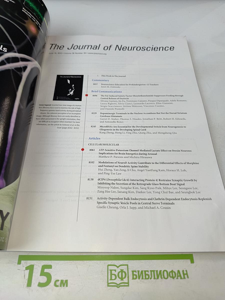 The Journal of Neuroscience, Volume 30 Number 24