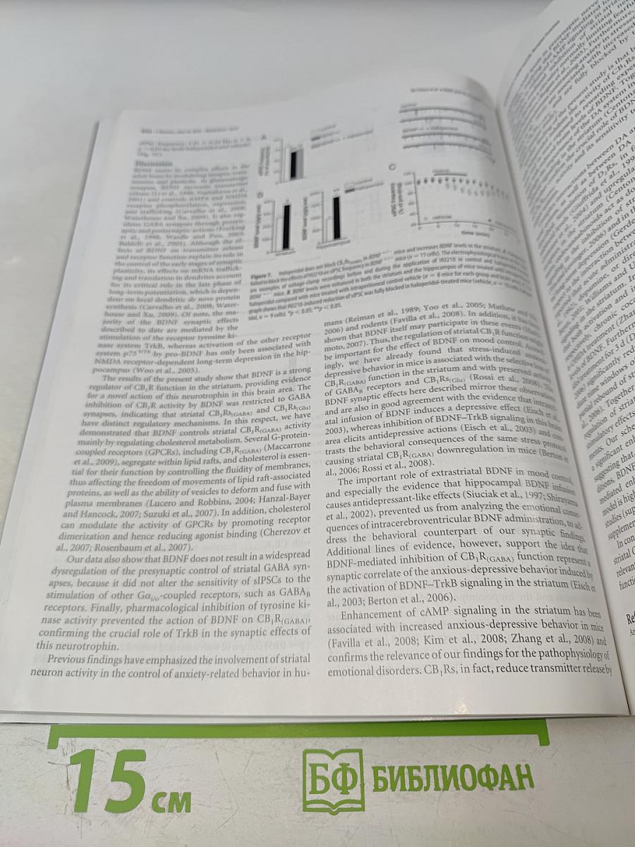 The Journal of Neuroscience, Volume 30 Number 24