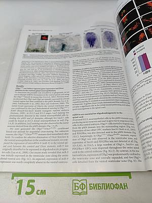 The Journal of Neuroscience, Volume 30 Number 24