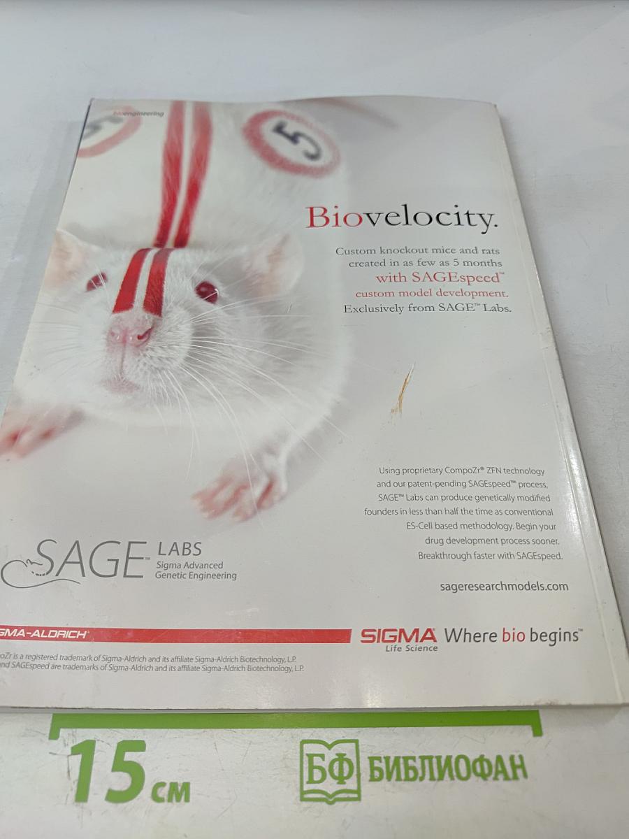 The Journal of Neuroscience, Volume 30 Number 24