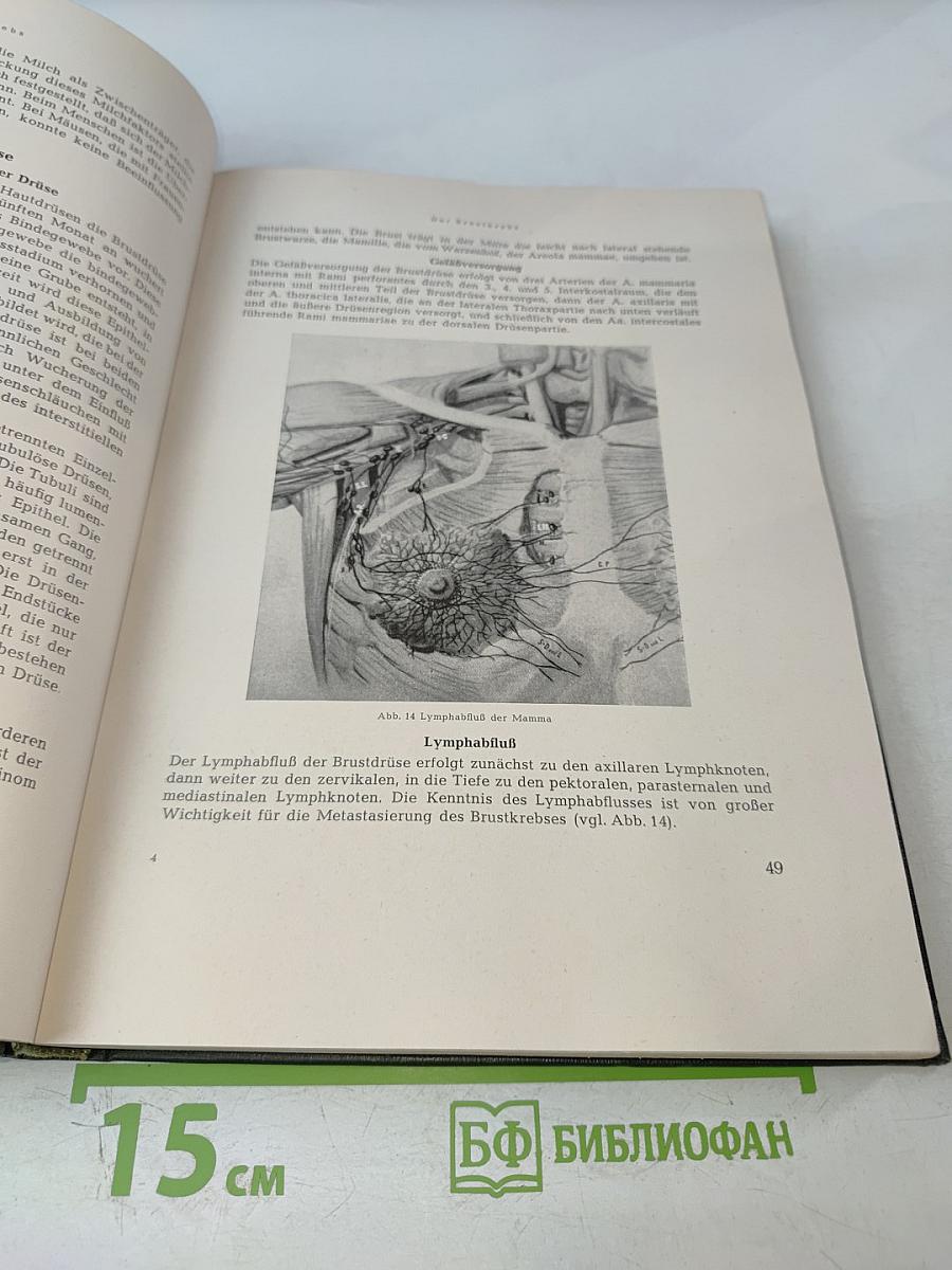 Frühdiagnose des Krebses