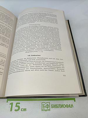 Frühdiagnose des Krebses