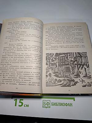 Мишель в Адской долине