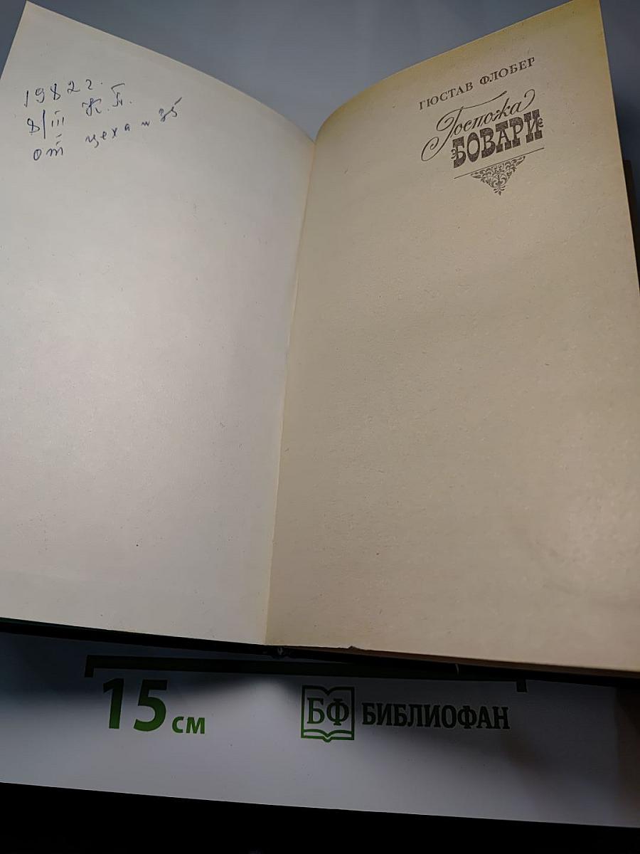 Госпожа Бовари