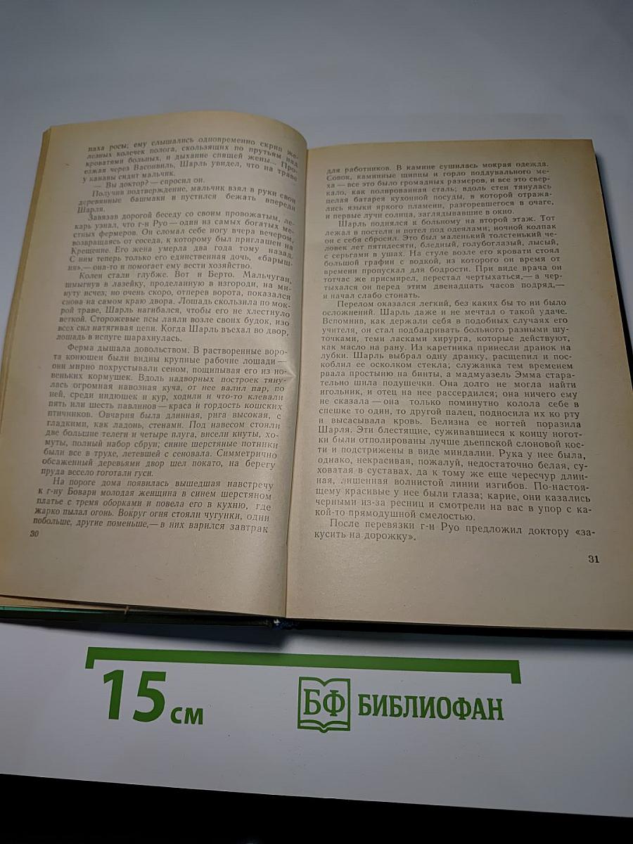 Госпожа Бовари