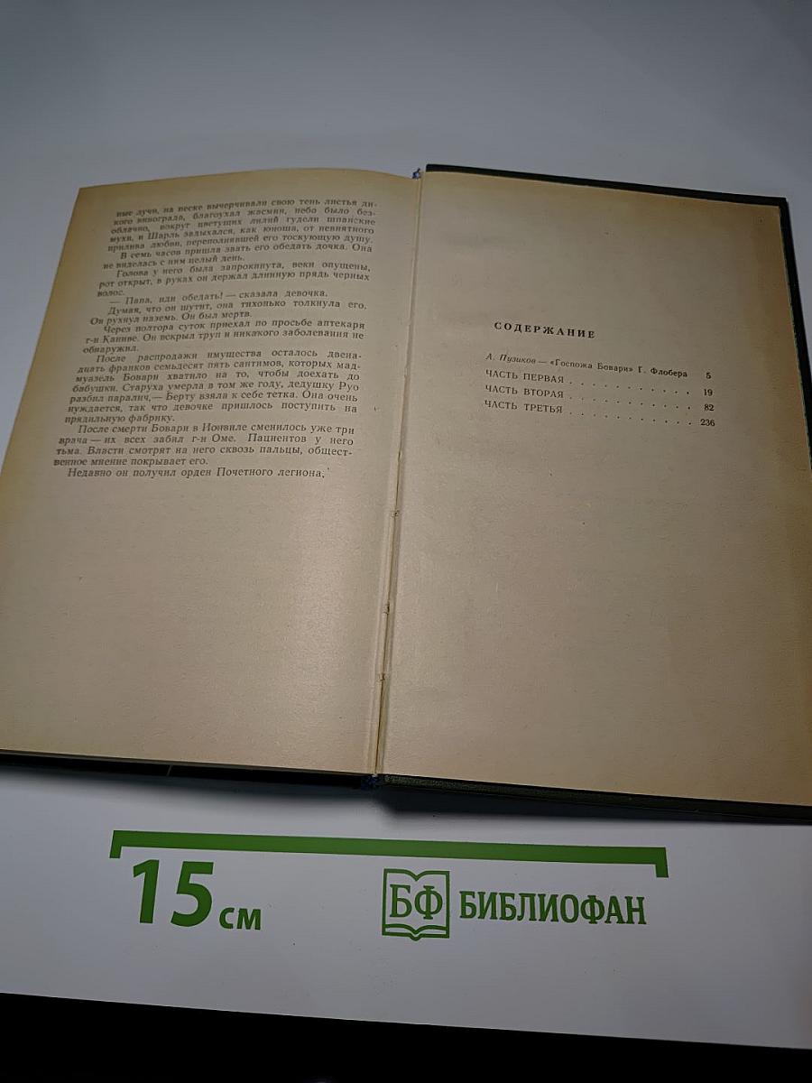 Госпожа Бовари