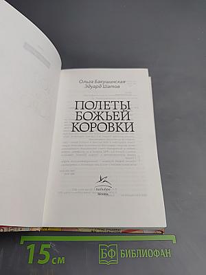 Полеты Божьей Коровки