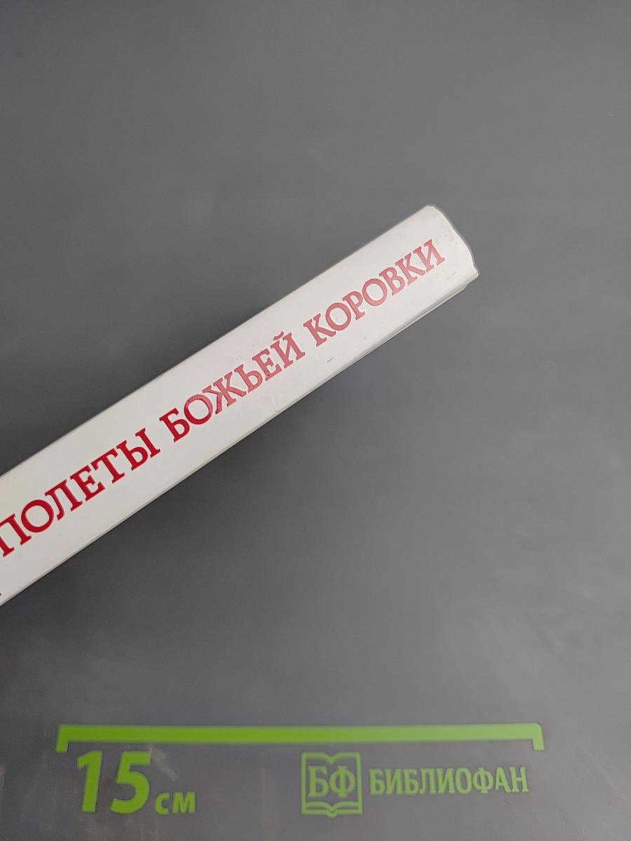 Полеты Божьей Коровки