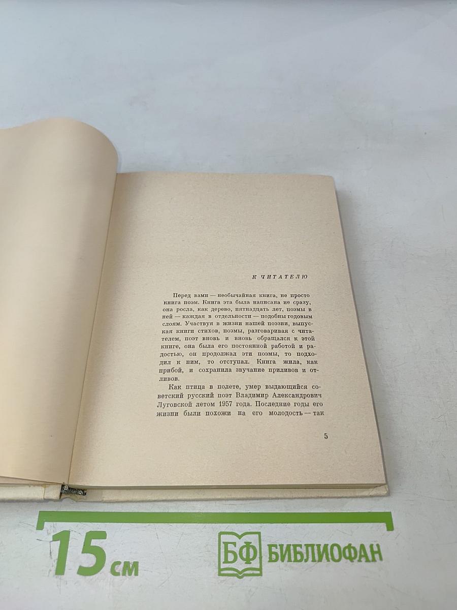 Середина века