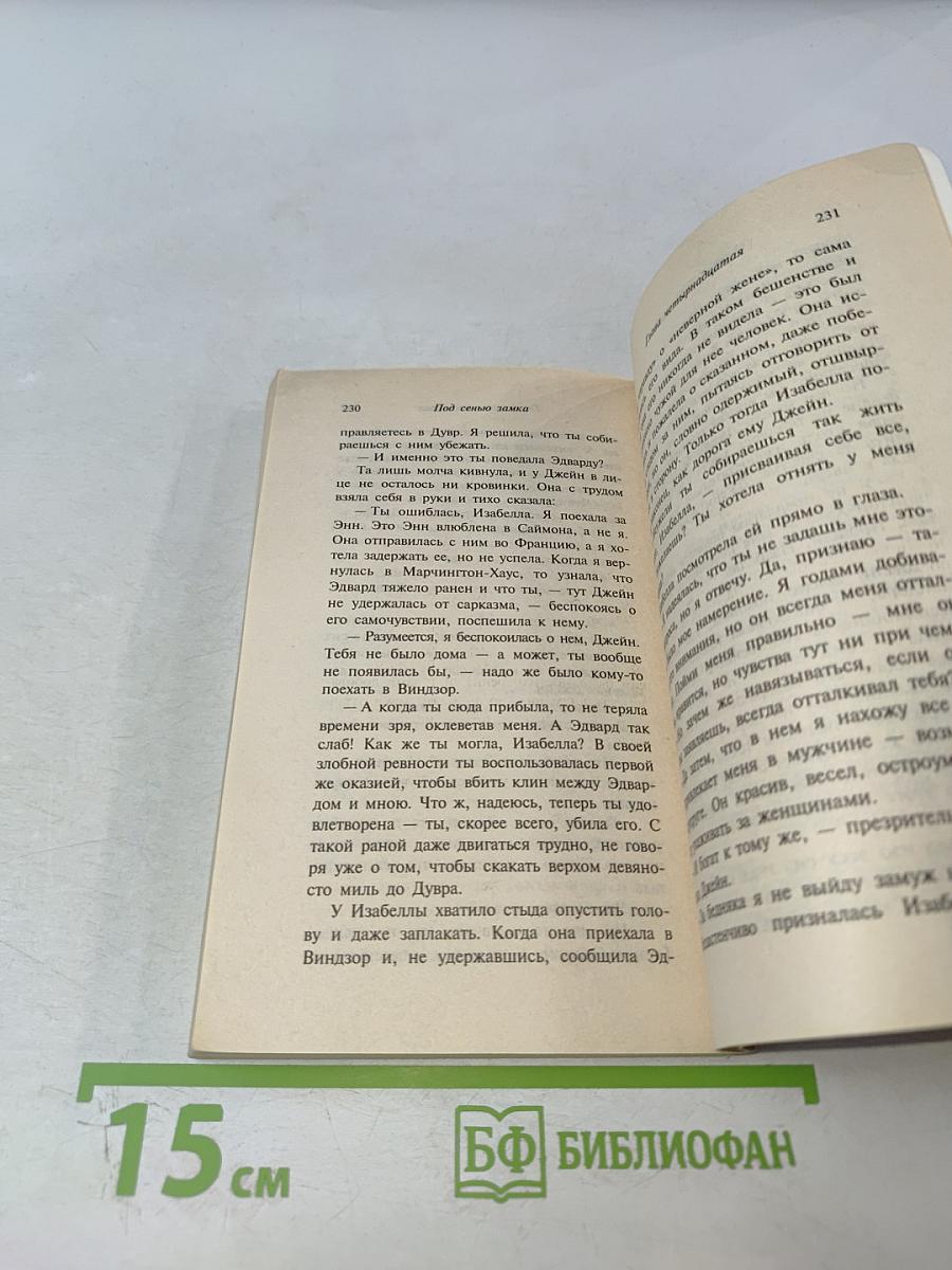 Под сенью замка