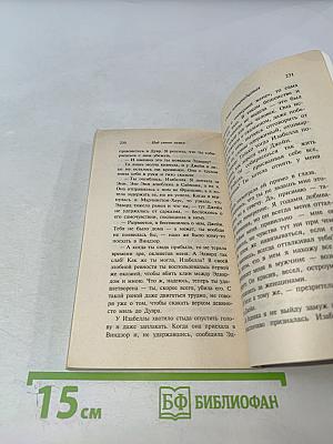 Под сенью замка