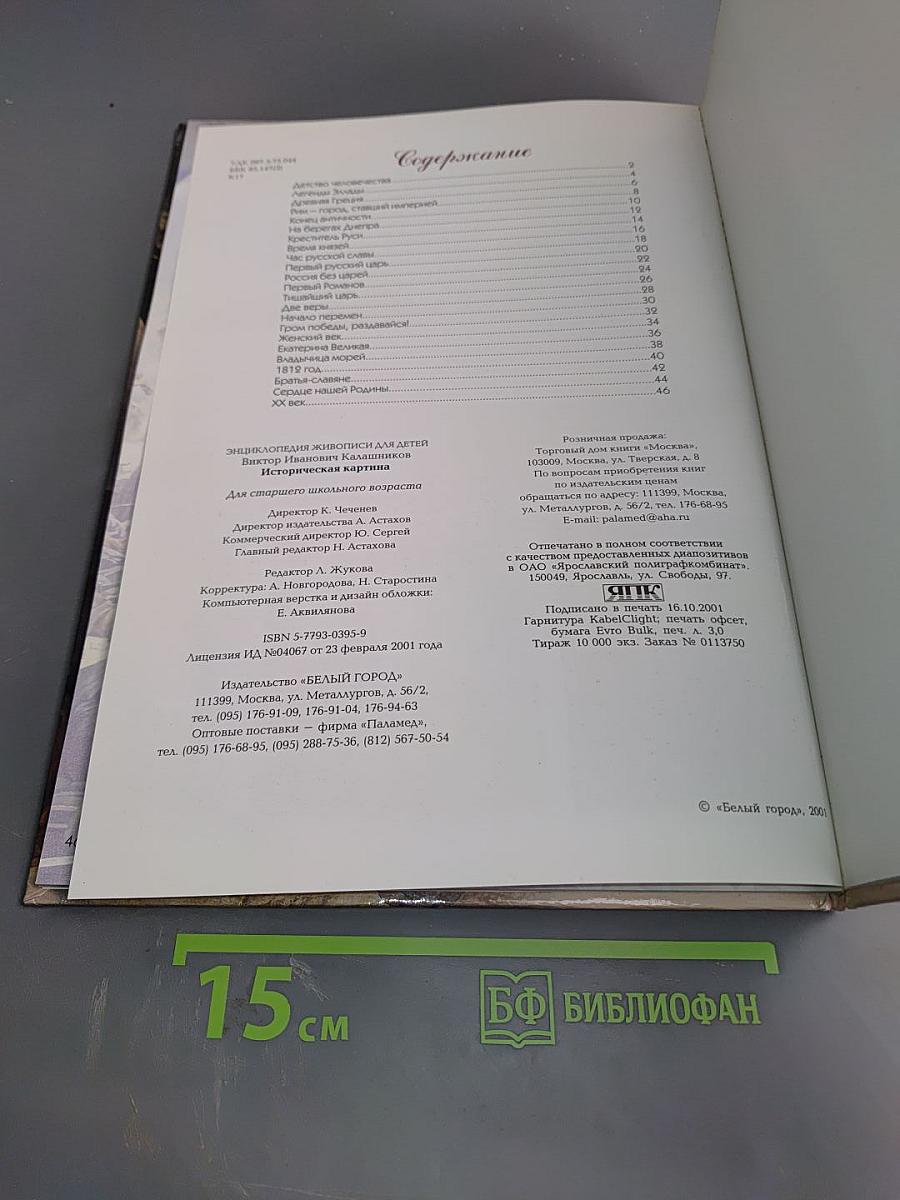 Историческая картина