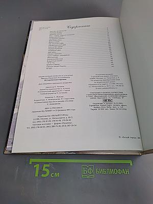 Историческая картина