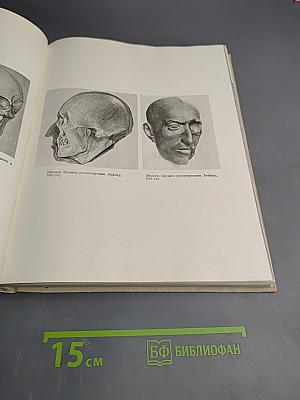 Наука и человечество. Ежегодник 1965
