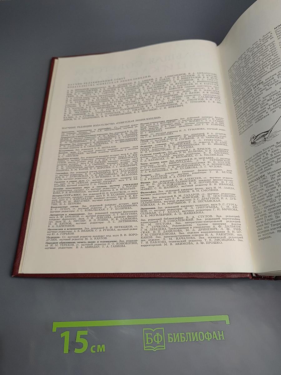 Большая Советская Энциклопедия. Том 17. Моршин — Никиш