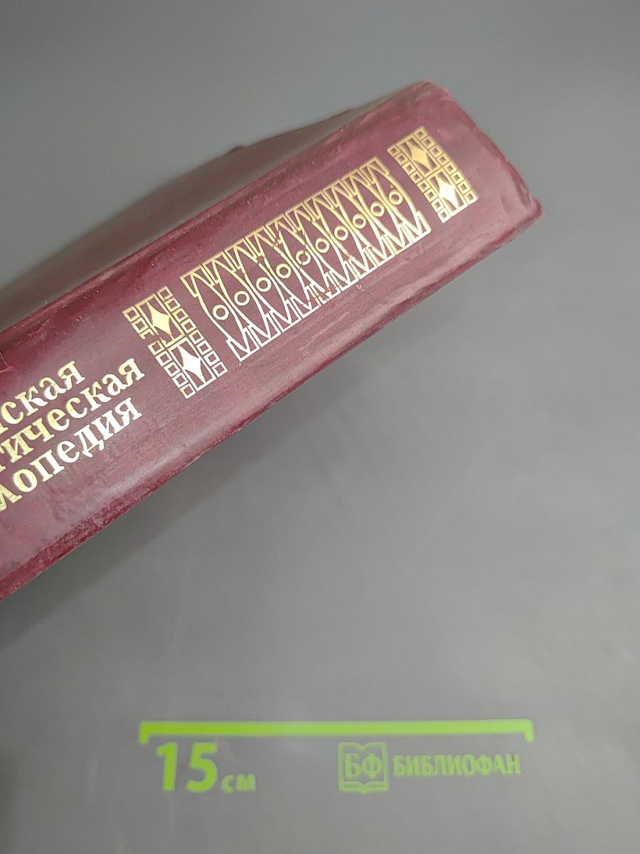 Российская социологическая энциклопедия