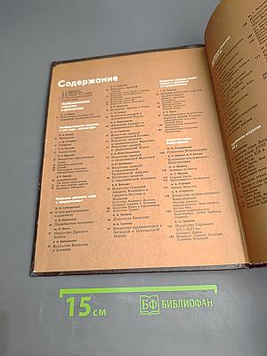 Детская энциклопедия. Том 12. Искусство