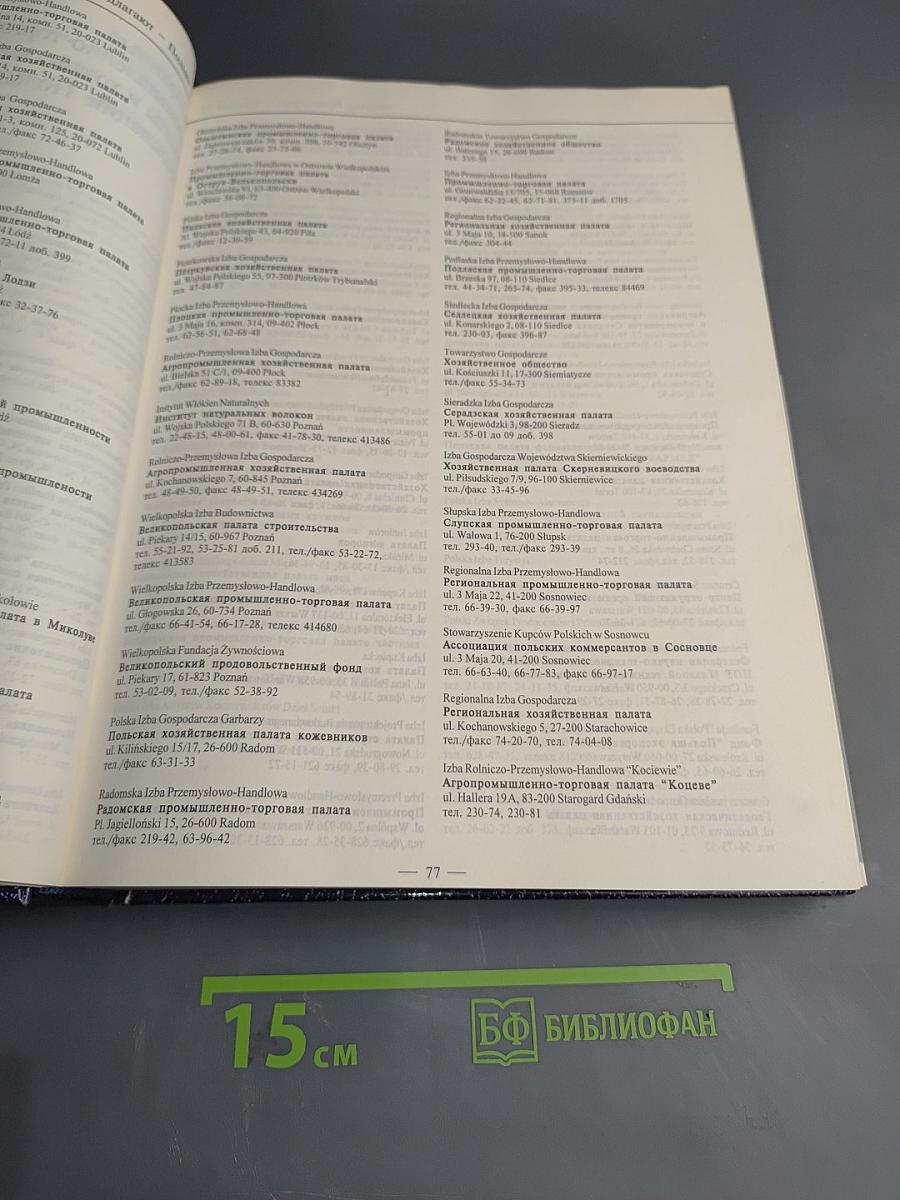 Фирмы предлагают Польша'95