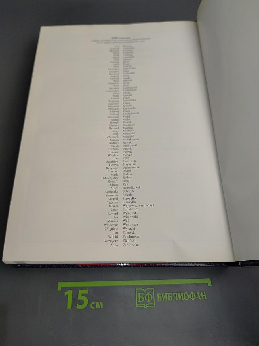 Фирмы предлагают Польша'95