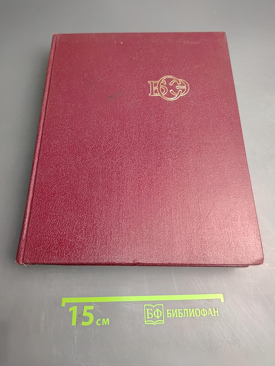 Большая Советская Энциклопедия. Том 10: Ива – Итаки