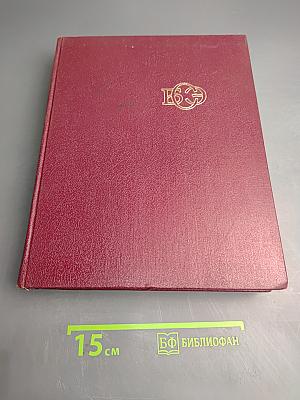 Большая Советская Энциклопедия. Том 10: Ива – Итаки