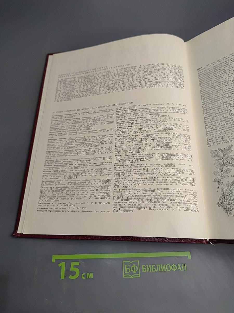 Большая Советская Энциклопедия. Том 10: Ива – Итаки