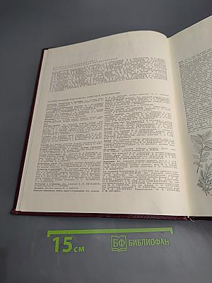 Большая Советская Энциклопедия. Том 10: Ива – Итаки