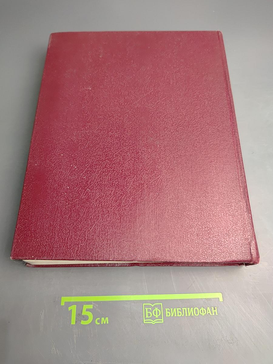 Большая Советская Энциклопедия. Том 10: Ива – Итаки