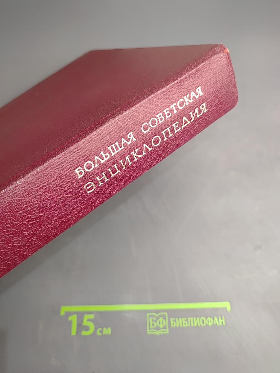 Большая Советская Энциклопедия. Том 10: Ива – Итаки