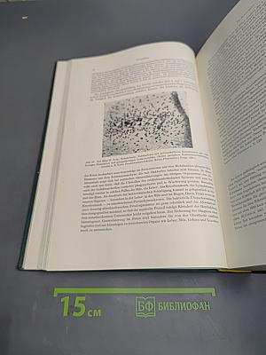 Paidopathologie. kyematopathien neogonopathien thelamonopathien. lehrbuch und atlas