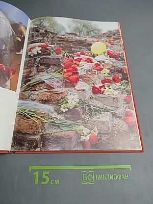 Крэпасць-герой