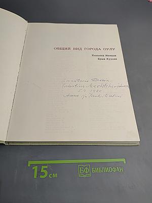 Общий вид города Оулу