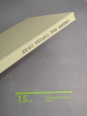 Общий вид города Оулу