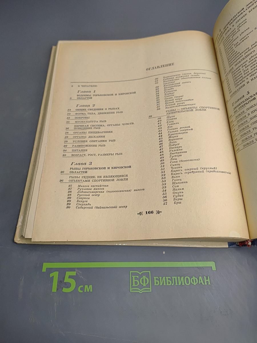 Удачливый рыболов