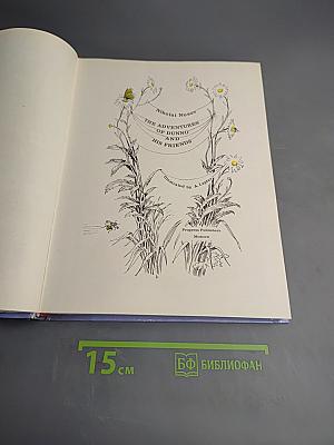 The Adventures of DUNNO and His Friends