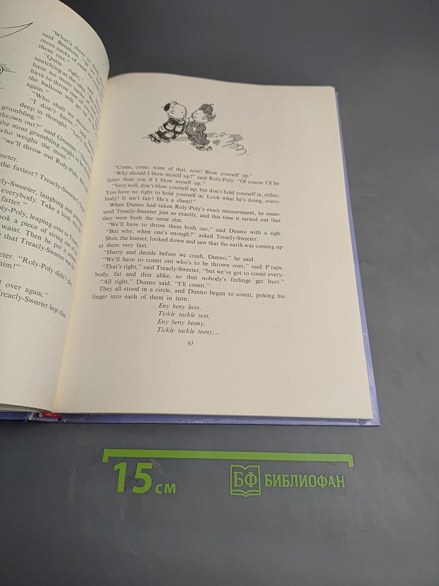 The Adventures of DUNNO and His Friends