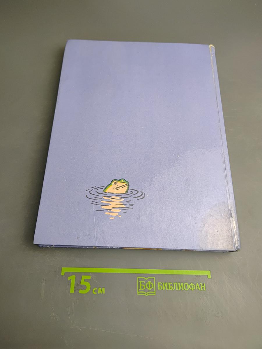 The Adventures of DUNNO and His Friends