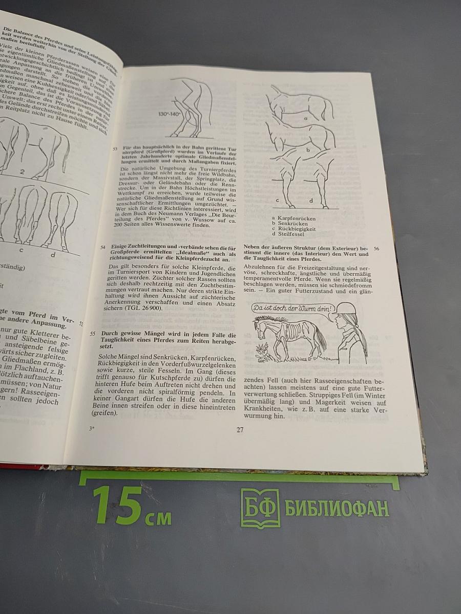 600 Ratschläge für den Pferdefreund