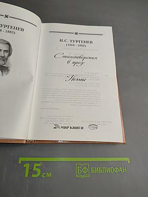 Стихотворения в прозе