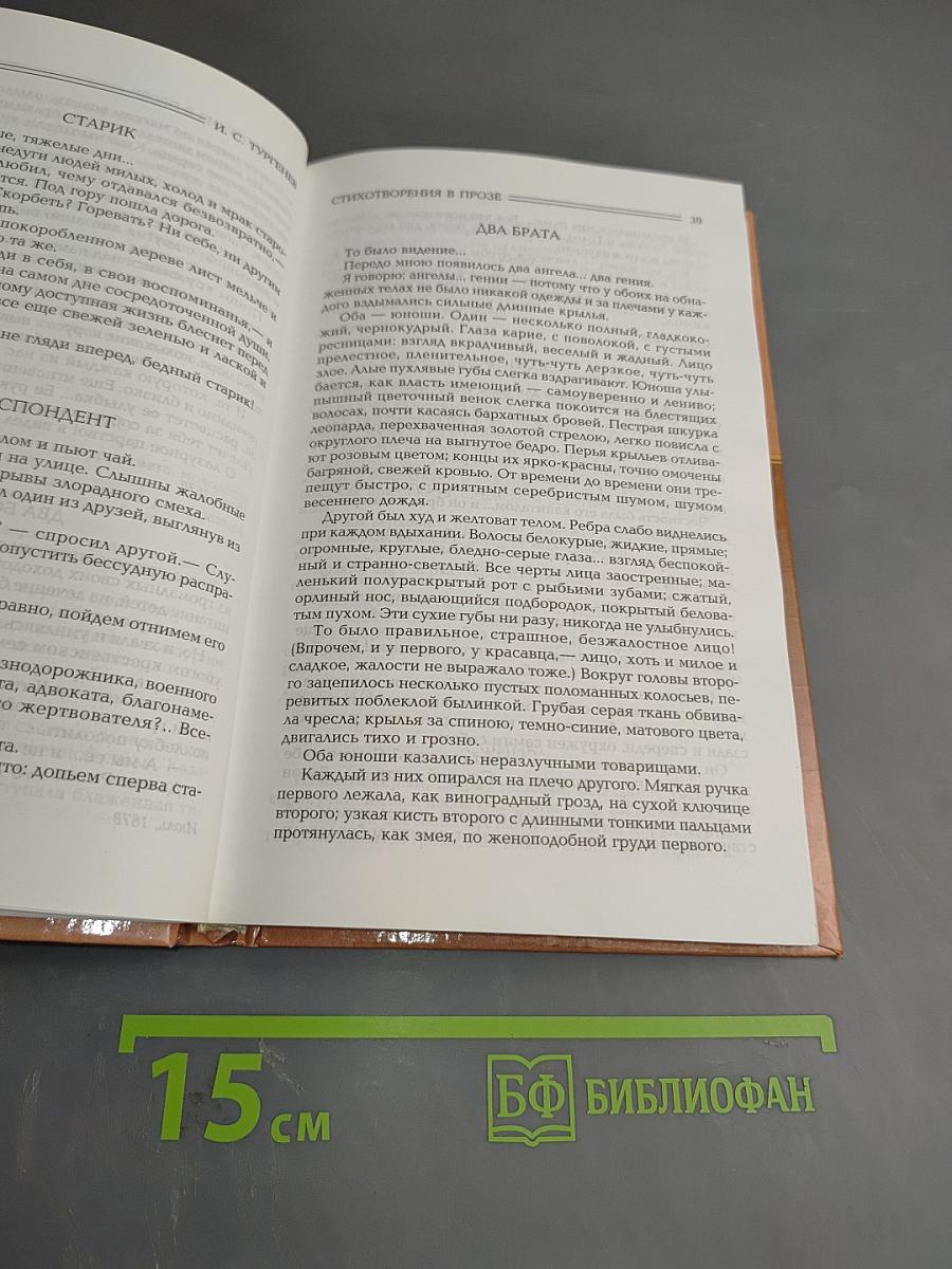 Стихотворения в прозе