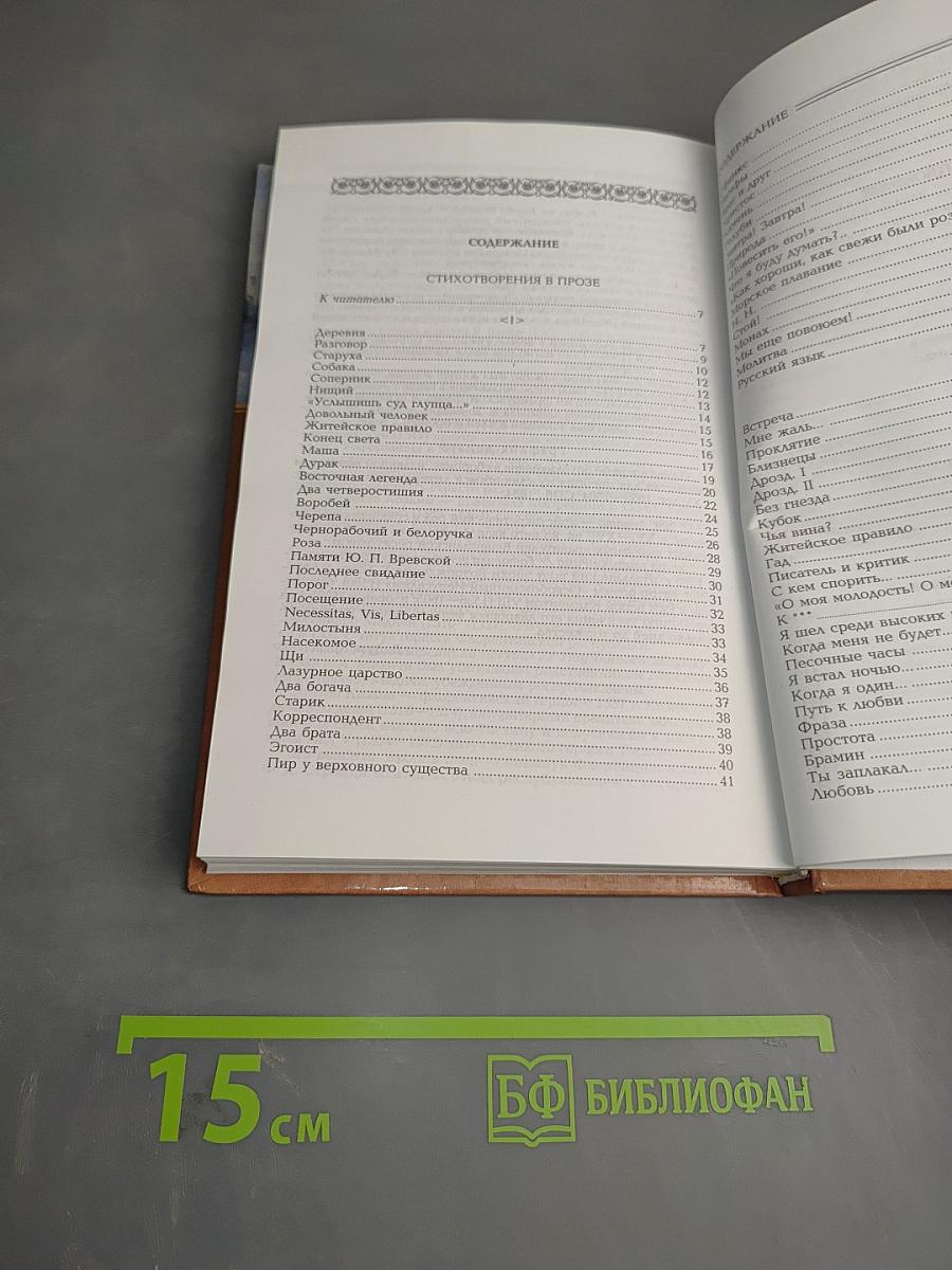 Стихотворения в прозе