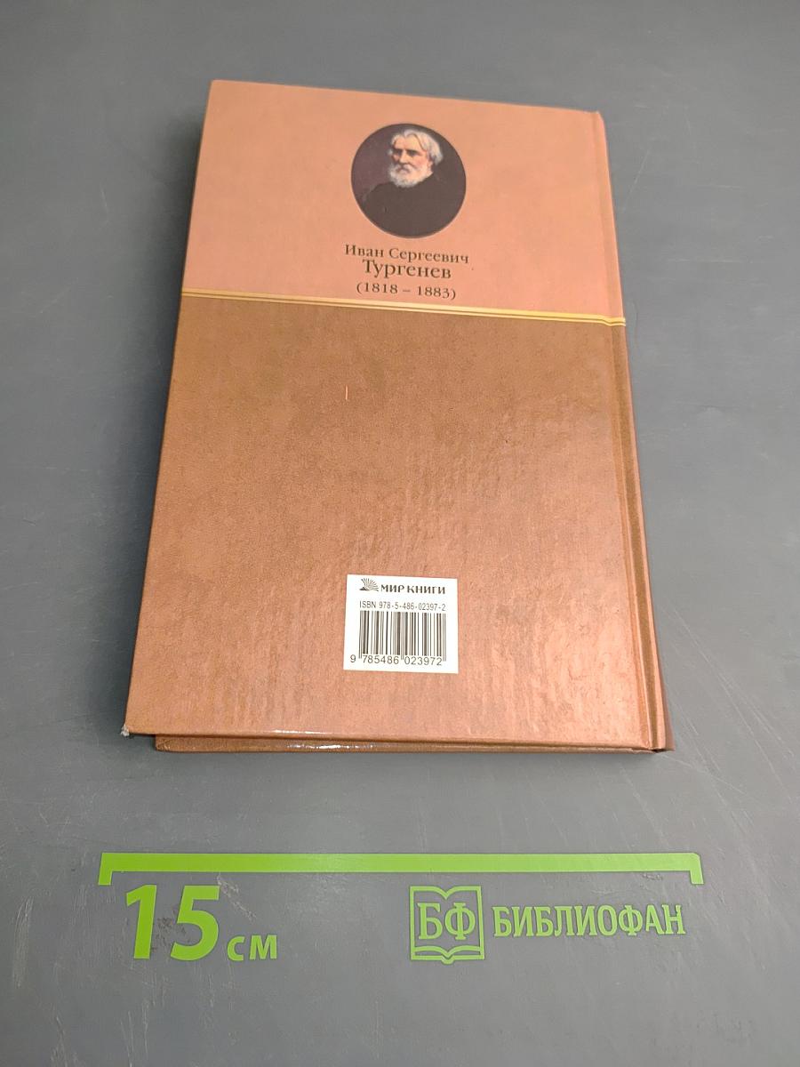 Стихотворения в прозе