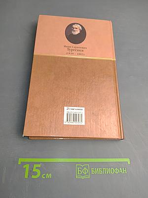 Стихотворения в прозе