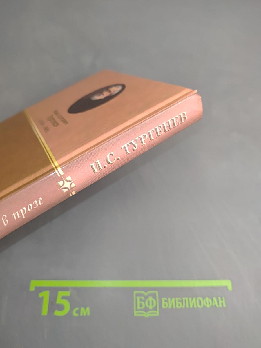 Стихотворения в прозе